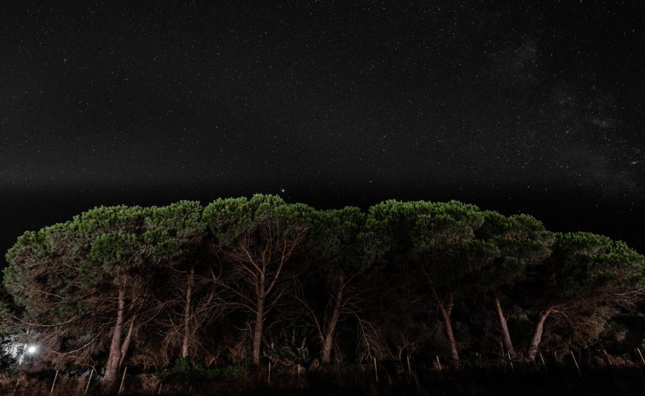 Theluxuryvillas Preveza Buitenkant foto