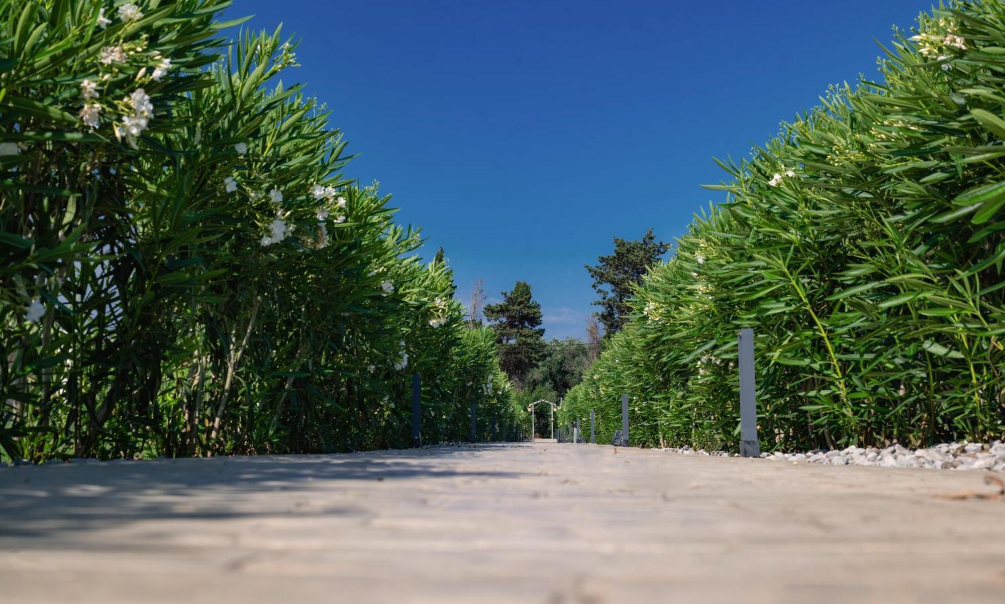 Theluxuryvillas Preveza Buitenkant foto