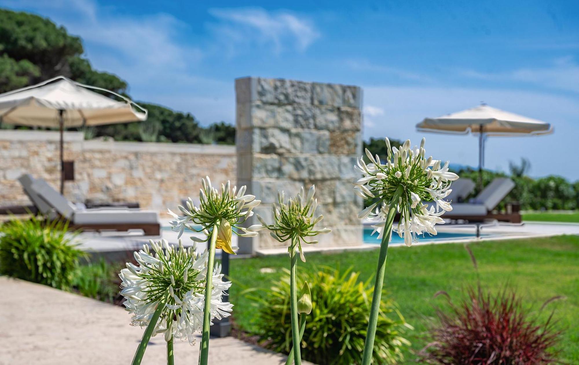 Theluxuryvillas Preveza Buitenkant foto