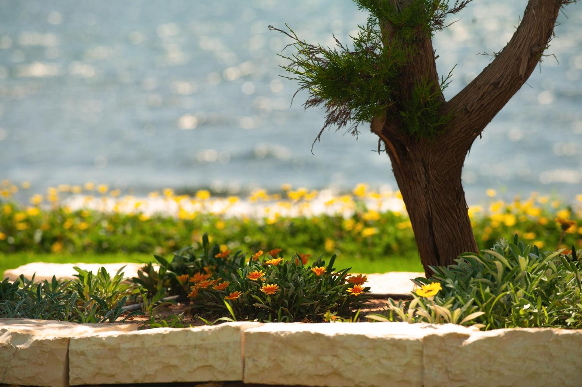 Theluxuryvillas Preveza Buitenkant foto